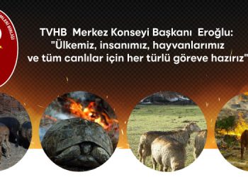 TVHB  Merkez Konseyi Başkanı  Eroğlu: “Ülkemiz, insanımız, hayvanlarımız ve tüm canlılar için her türlü göreve hazırız”