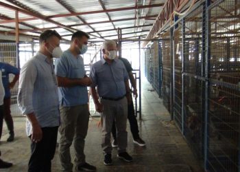 TVHB Başkanı Eroğlu: “Manavgat’ta yaralı hayvanların tedavisi devam ediyor” Türk Veteriner Hekimleri Birliği Başkanı Ali Eroğlu, Manavgat yangınından kurtarılan hayvanların barındığı merkezi ziyaret etti