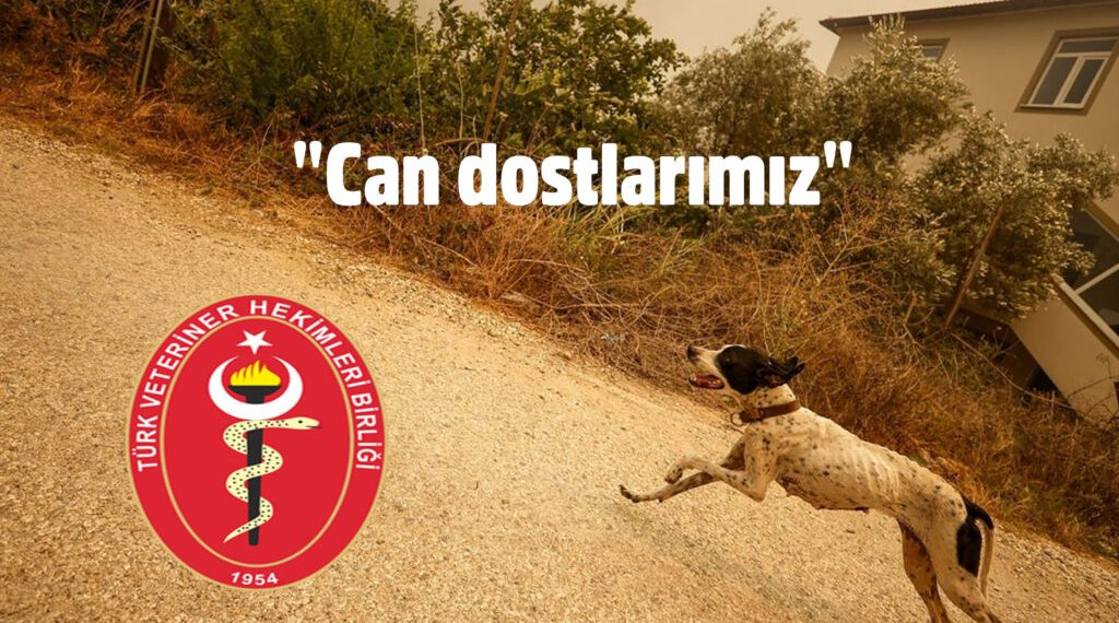 Türk Veteriner Hekimleri Birliği “Can dostlarımız” için teşekkür mesajı yayınladı