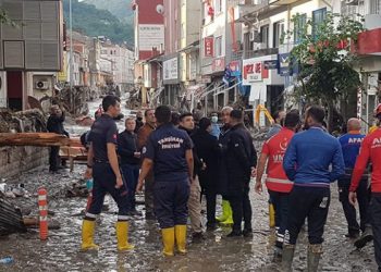 Türk Veteriner Hekimleri Birliği’nden açıklama