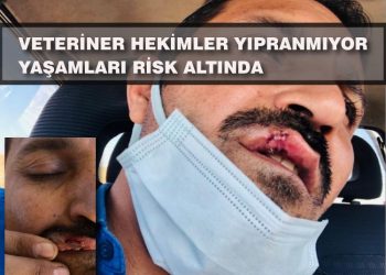 Veteriner Hekimler Yıpranmıyor, Yaşamları Risk Altında!