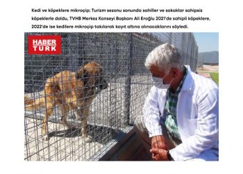 Kedi ve köpeklere mikroçip