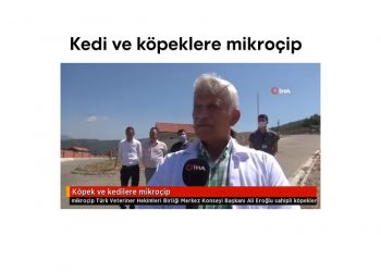 Köpek ve kedilere mikroçip