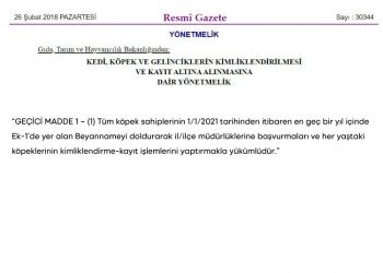 KEDİ, KÖPEK VE GELİNCİKLERİN KİMLİKLENDİRİLMESİ  VE KAYIT ALTINA ALINMASINA  DAİR YÖNETMELİK