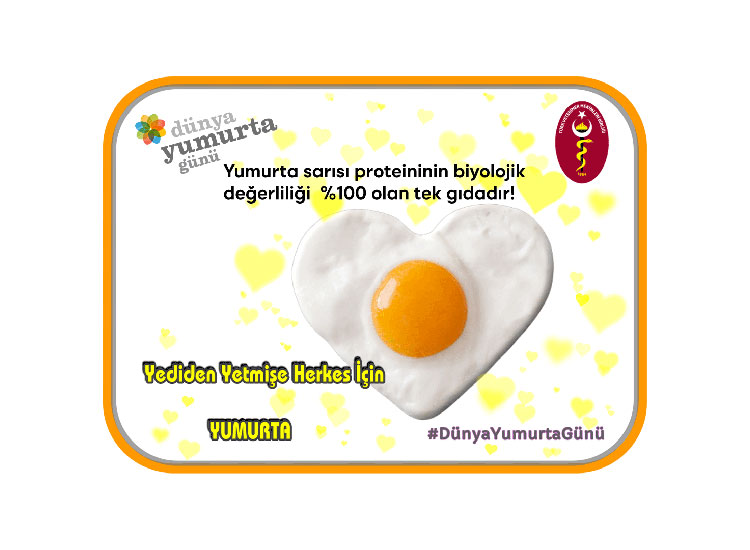 Türk Veteriner Hekimleri Birliği’nin Dünya Yumurta Günü Mesajı
