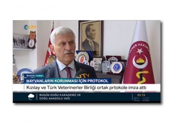 Türk Kızılay ile Türk Veteriner Hekimleri Birliği arasında iş birliği protokolü imzalandı – NTV