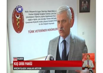 Kuş Gribi hastalığı ve alınması gereken önlemler – 19.11.2021