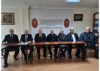 Türk Veteriner Hekimleri Birliği 49. dönem Yüksek Haysiyet Divanı