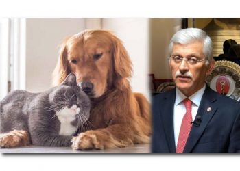 Hayvanlara mağduriyet yaşatmayın