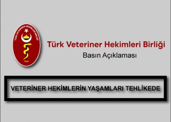 VETERİNER HEKİMLERİN YAŞAMLARI TEHLİKEDE