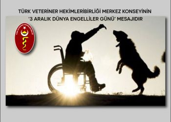 3 Aralık Dünya Engelliler Günü