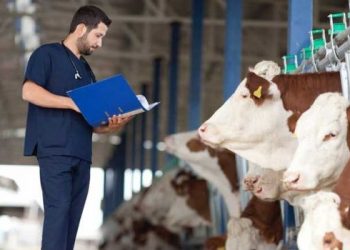 TVHB: Veteriner Hekimler Bir Kez Daha Dışlanıyor