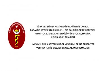 Hayvanlara Kasten Şiddet ve Ölümlerine Sebebiyet Vermek Hapis Cezası İle Cezalandırılmalıdır