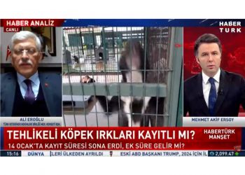 Tehlikeli köpek ırkları kayıtlı mı? | Haber Analiz – 17 Ocak 2022