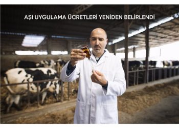 Aşı Uygulama Ücretleri Yeniden Belirlendi