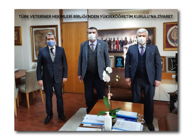 Türk Veteriner Hekimleri Birliği’nden Yükseköğretim Kurulu’na Ziyaret