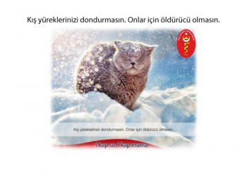 Kış yüreklerinizi dondurmasın. Onlar için öldürücü olmasın.