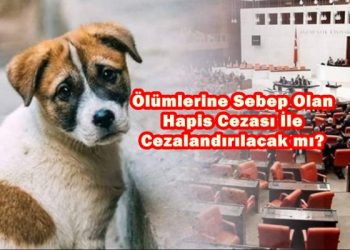 Ölümlerine Sebep Olan Hapis Cezası İle Cezalandırılacak mı?