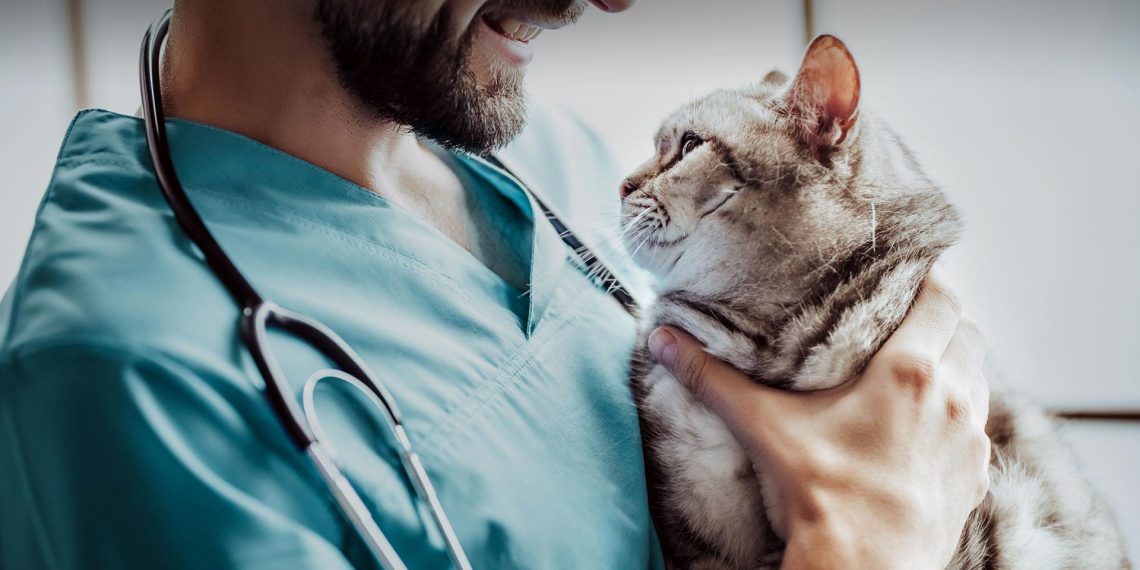 Veteriner Hekimler de ek gösterge düzenlemesinden faydalanmak istiyor