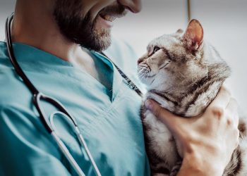 Veteriner Hekimler de ek gösterge düzenlemesinden faydalanmak istiyor