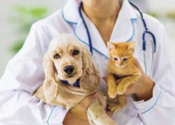 Bir ek gösterge talebi de Veteriner Hekimlerden