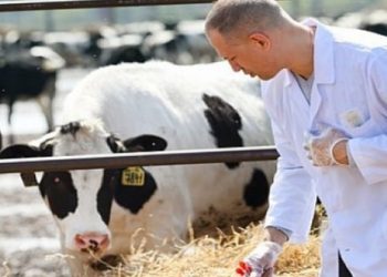 TVHB  Merkez Konseyi, “Beklentilerin gerisinde kaldı”