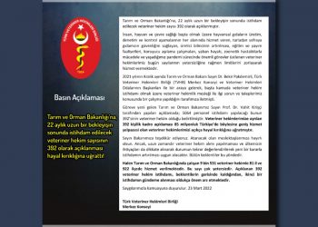 Kamuda Veteriner Hekim İstihdamı