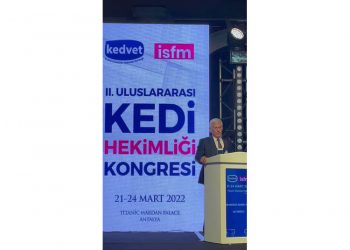 Keşke bir şiir okumuş, Bir kedi sevmiş olsaydınız. Belki bu kadar, kirletmezdiniz dünyayı…