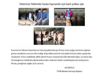 Veteriner Hekimler hasta hayvanlar için karlı yolları aştı