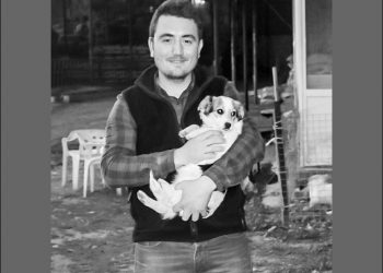 Veteriner Hekim İsmail ŞEN