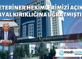 TVHB’den kamuda veteriner hekim istihdamına ilişkin değerlendirme
