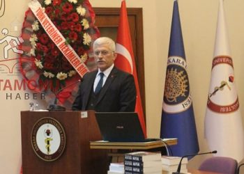 Süt Üretim Maliyetinin yüzde 70’ini yem maliyeti oluşturuyor