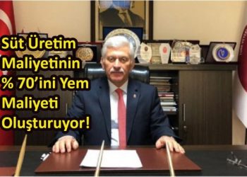 Süt Üretim Maliyetinin % 70’ini Yem Maliyeti Oluşturuyor!