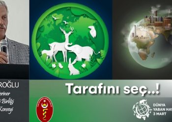 40.000’den fazla tür, yok olmak üzere. Kimler tehlikenin farkında?