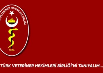 Türk Veteriner Hekimleri Birliği’ni tanıyalım