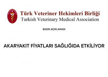 Akaryakıt Fiyatları Sağlığıda Etkiliyor