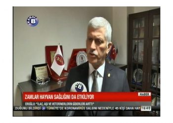 Zamlar Hayvan Sağlığını da Etkiliyor