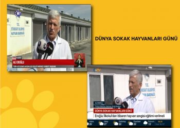 Eroğlu: İlkokul’dan itibaren hayvan sevgisi eğitimi verilmeli