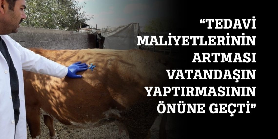 Köy, kasaba Veteriner Hekimleri akaryakıt zamlarından etkilendi