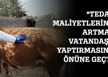 Köy, kasaba Veteriner Hekimleri akaryakıt zamlarından etkilendi