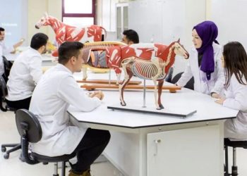 TVHB Merkez Konseyi Başkanı Eroğlu: ‘Sağlıkta şiddette Veteriner Hekimlere de yer verilmesini istiyoruz’