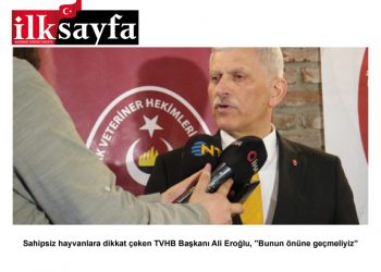 Sahipsiz hayvanlara dikkat çeken TVHB Başkanı Ali Eroğlu, “Bunun önüne geçmeliyiz”