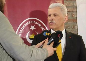 200 bin kısırlaştırma yetersiz bir rakam