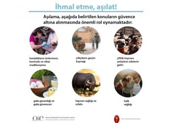 Yarın “20 Nisan Dünya Hayvanları Aşılama Günü”