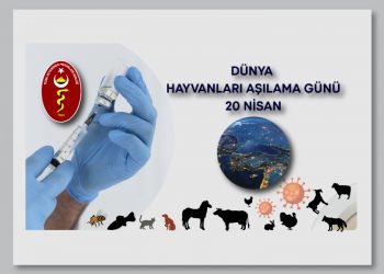 “Düzenli yapılan aşılarla olası salgınların önüne geçmek mümkündür.”