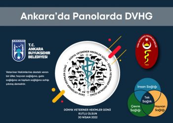 Dünya Veteriner Hekimler Günü Panolarda 30.04.2022 Ankara