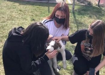 Bayram değil yüzleşme günü