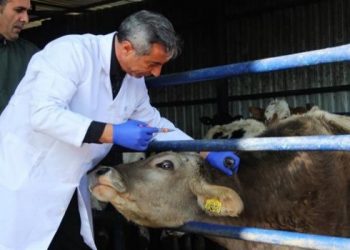 Akaryakıt fiyatları sağlığı da etkiliyor