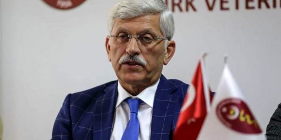 TVHB: Onlar sokak hayvanı değil, sahipsiz hayvanlardır