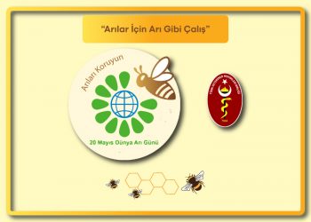 20 Mayıs Dünya Arı Günü